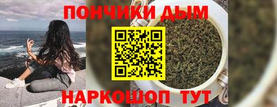 spice Кузнецк