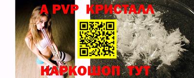 spice Кузнецк