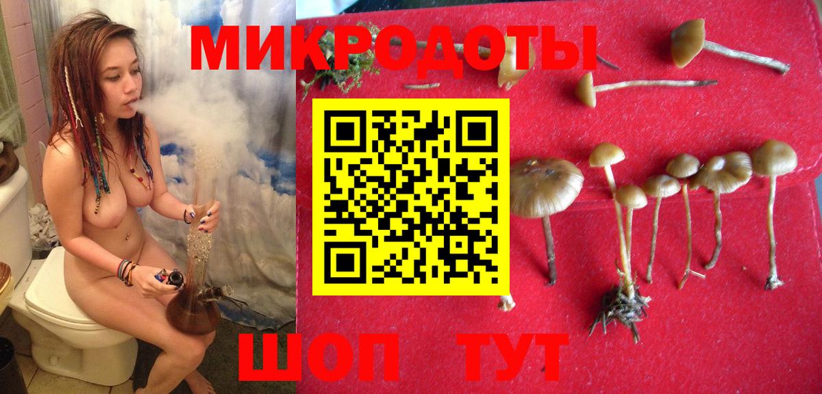 Галлюциногенные грибы мухоморы Орск